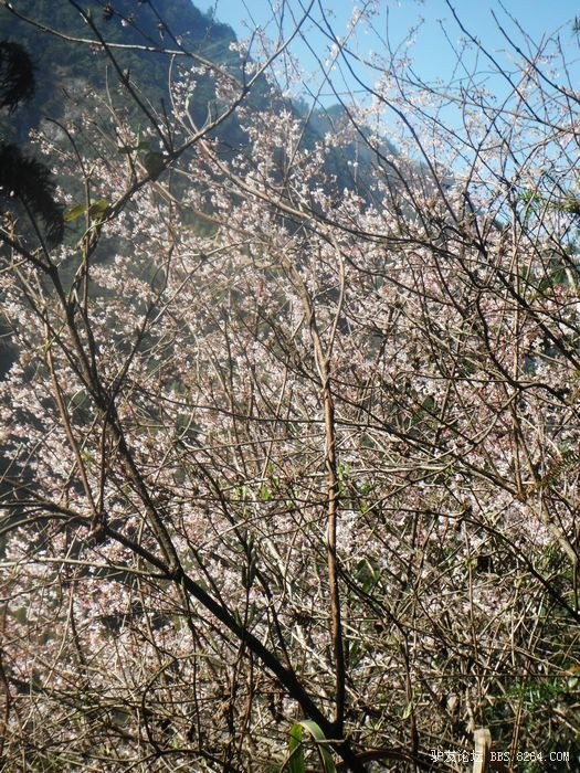 DSCF0830.JPG