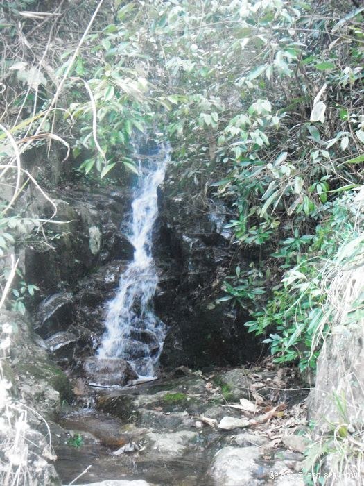 DSCF0835.JPG