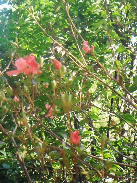 DSCF0839.JPG