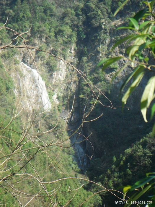 DSCF0854.JPG