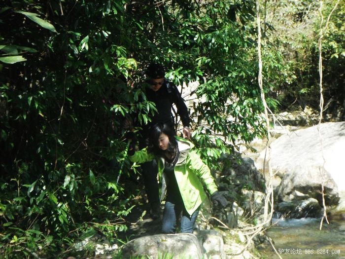 DSCF0873.JPG