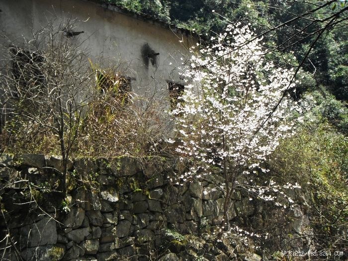 DSCF0876.JPG