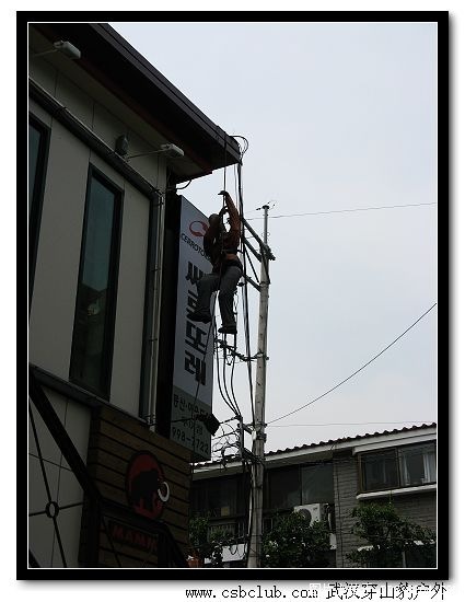 IMG_0340_nEO_IMG.jpg