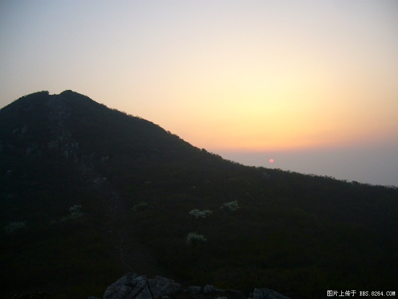 P1000049.JPG