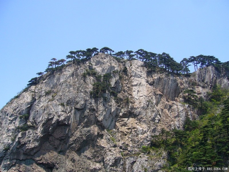 P1000105.JPG