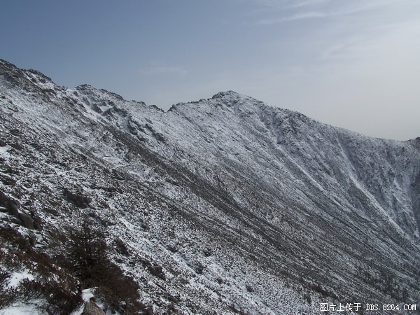 100_0216-1.jpg