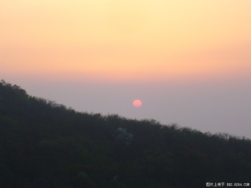 P1000050.JPG