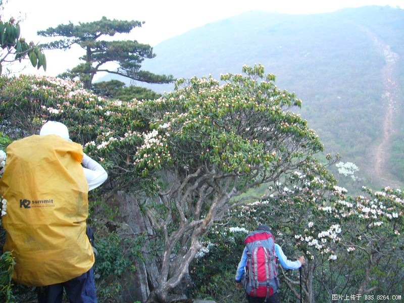 P1000052.JPG