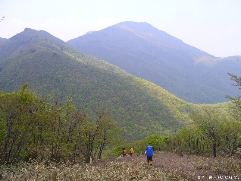 P1000022.JPG