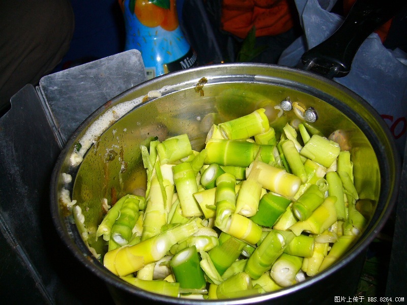 P1000157.JPG