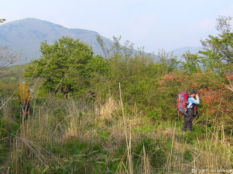 P1000040.JPG
