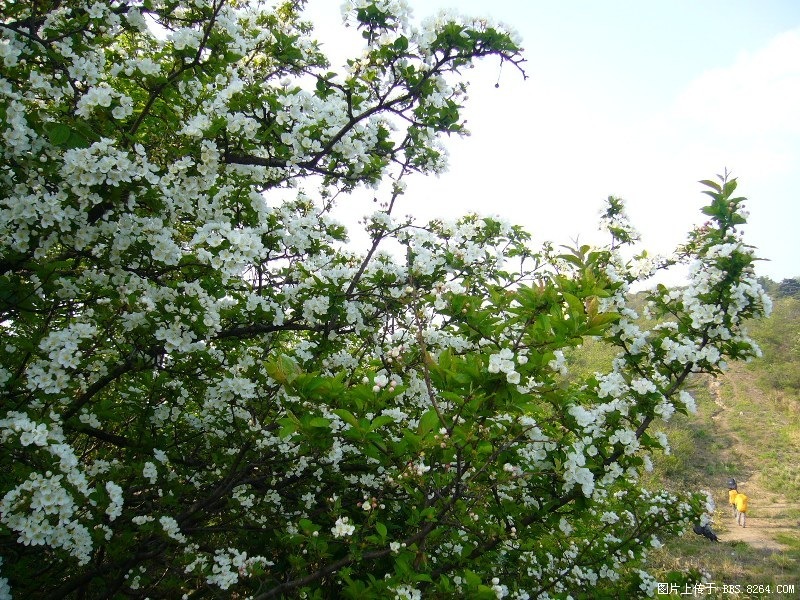 P1000046.JPG