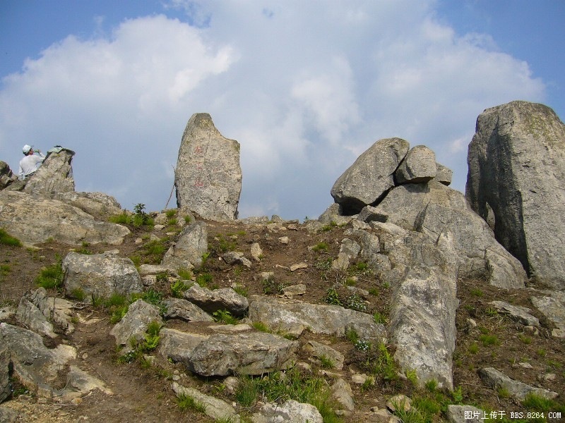 P1000031.JPG