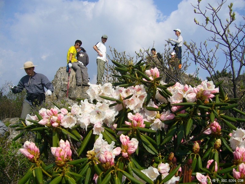 P1000036.JPG