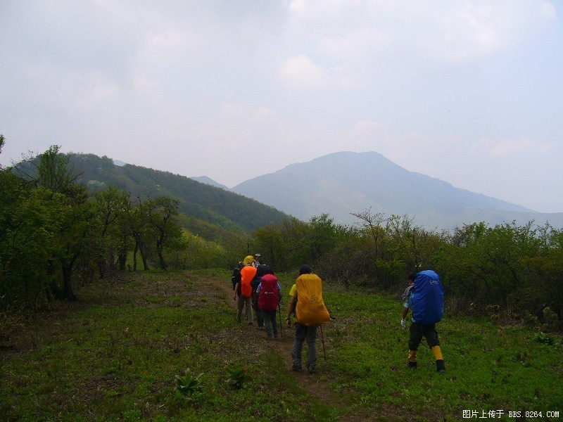 P1000020.JPG