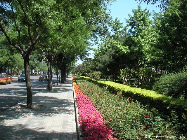 PICT0020.JPG