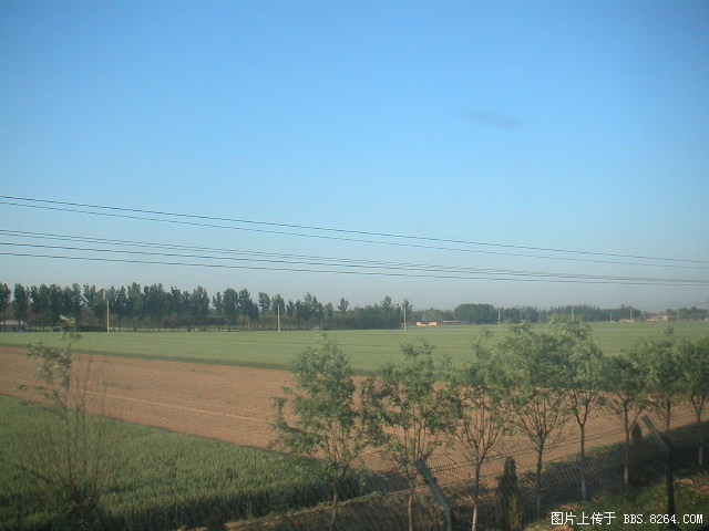 PICT0007.JPG