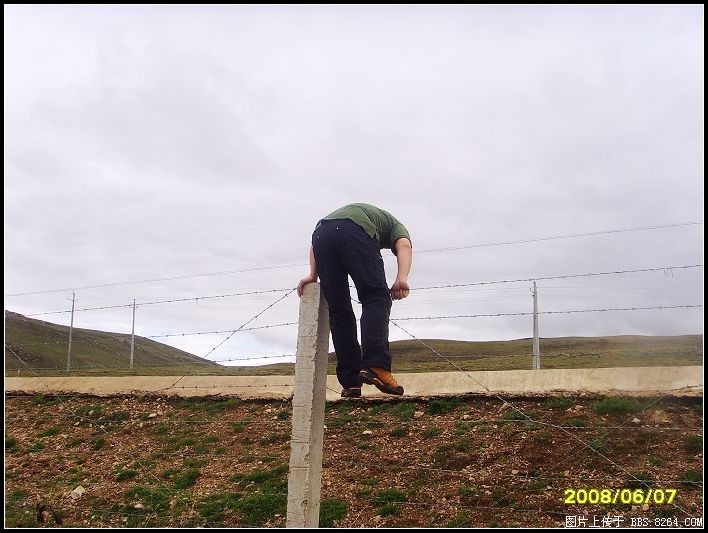 06.jpg