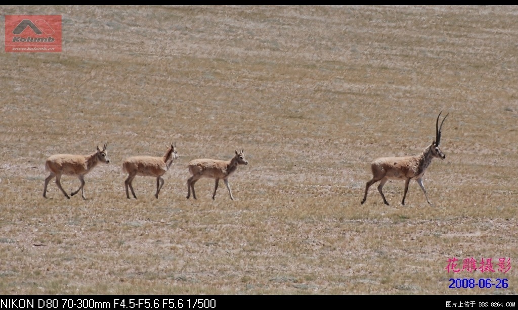 D03-27.jpg