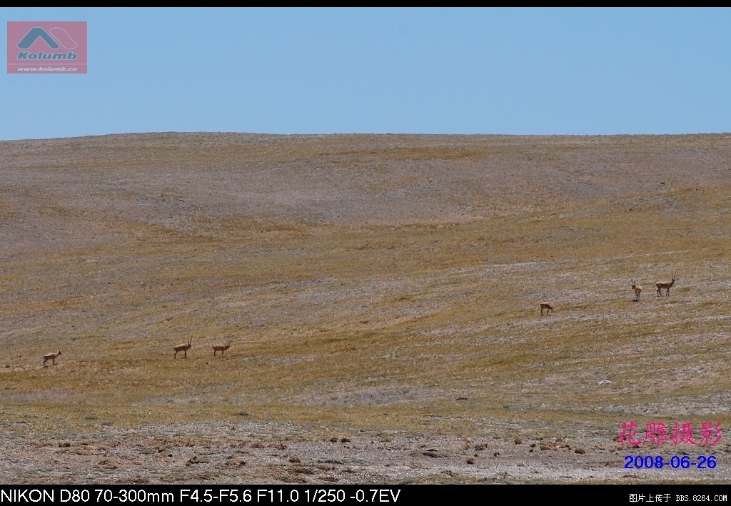 D03-23.jpg