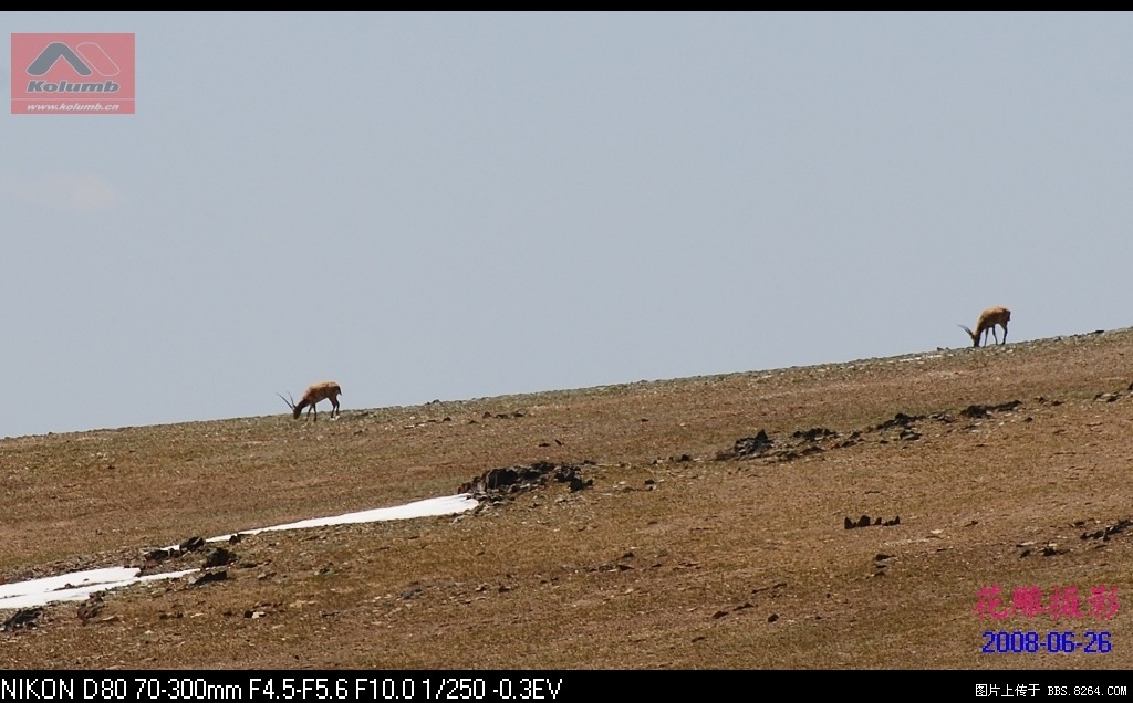 D03-22.jpg