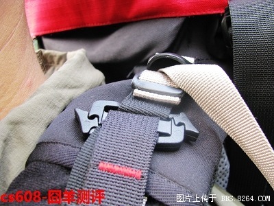 IMG_4844_nEO_IMG.jpg