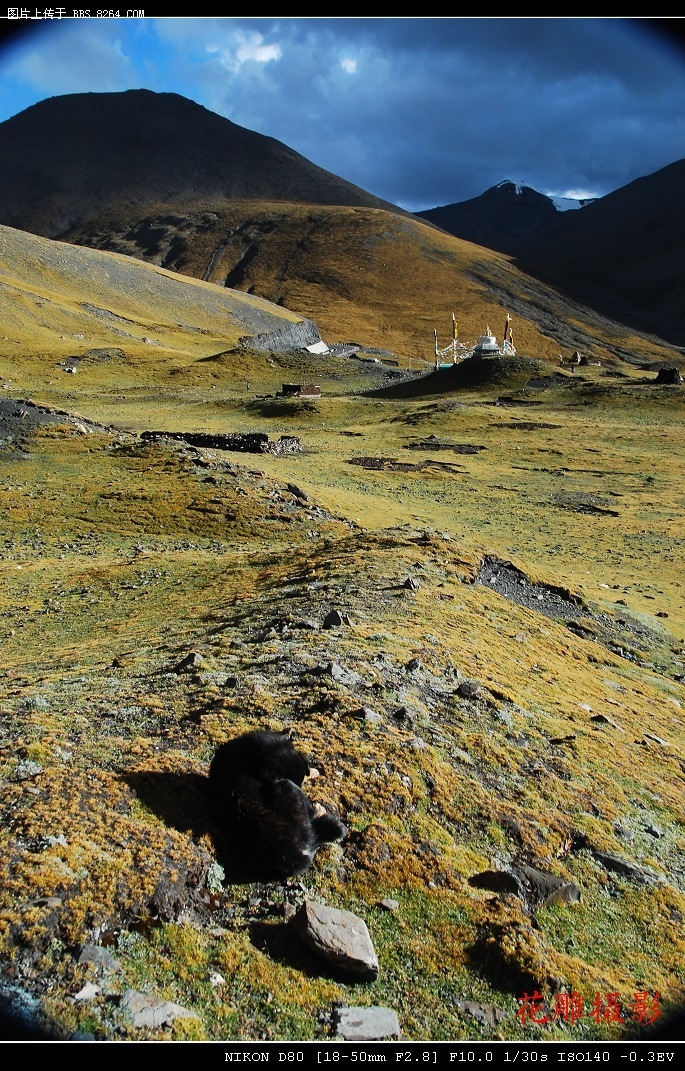 D01-05.jpg