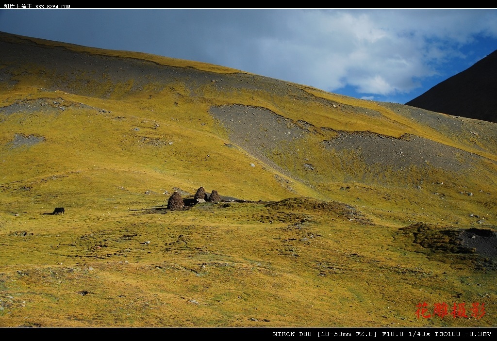 D01-07.jpg