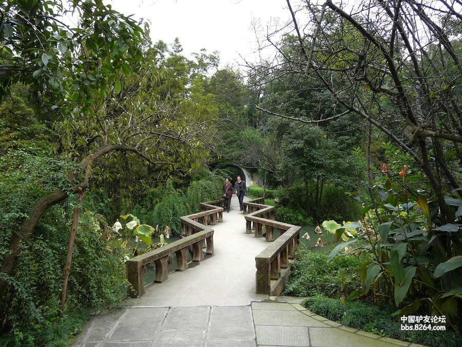 P1160326.jpg