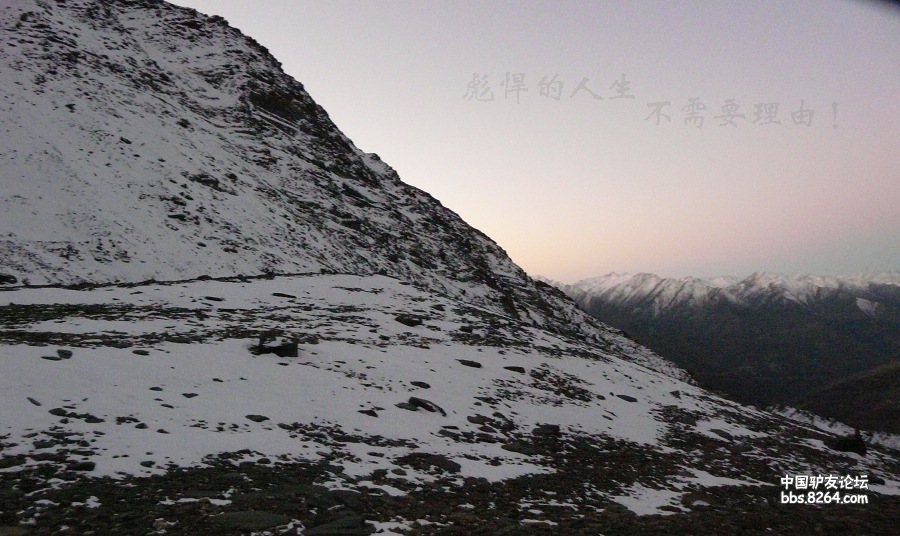 P1160646.jpg
