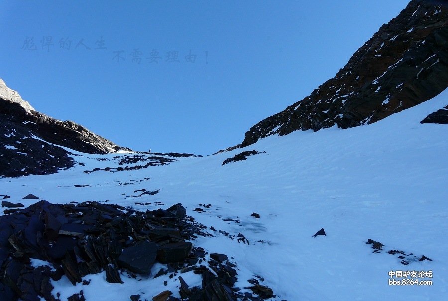 P1160664.jpg