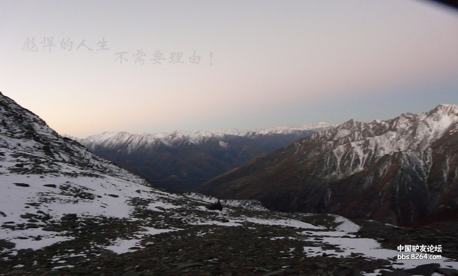 P1160647.jpg