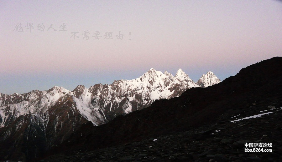 P1160645.jpg