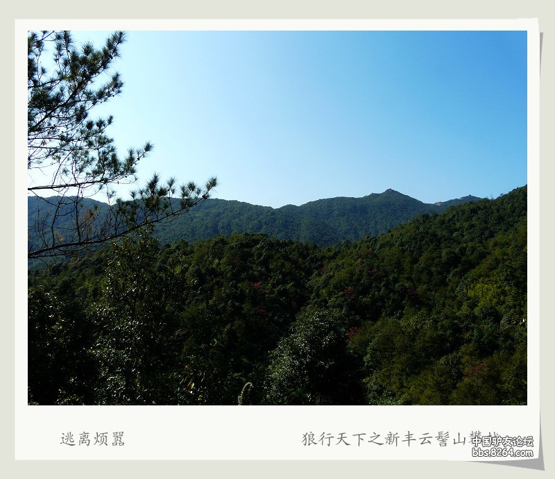 P1170144.jpg