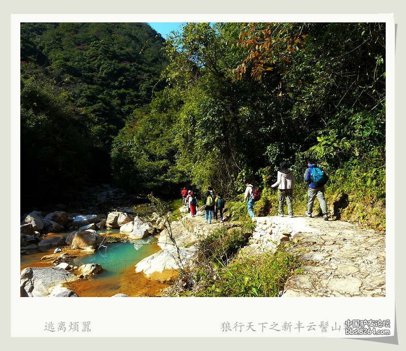 P1170103.jpg
