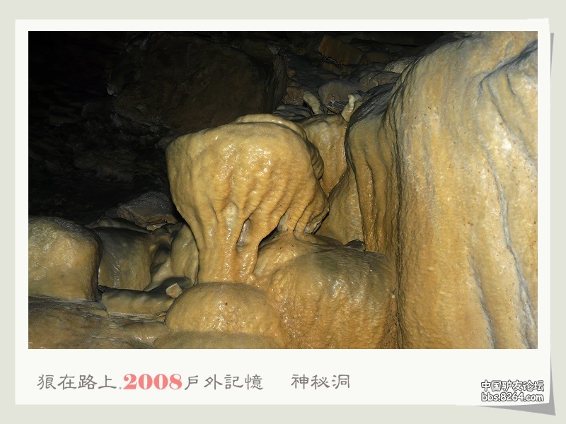 P1010026.jpg