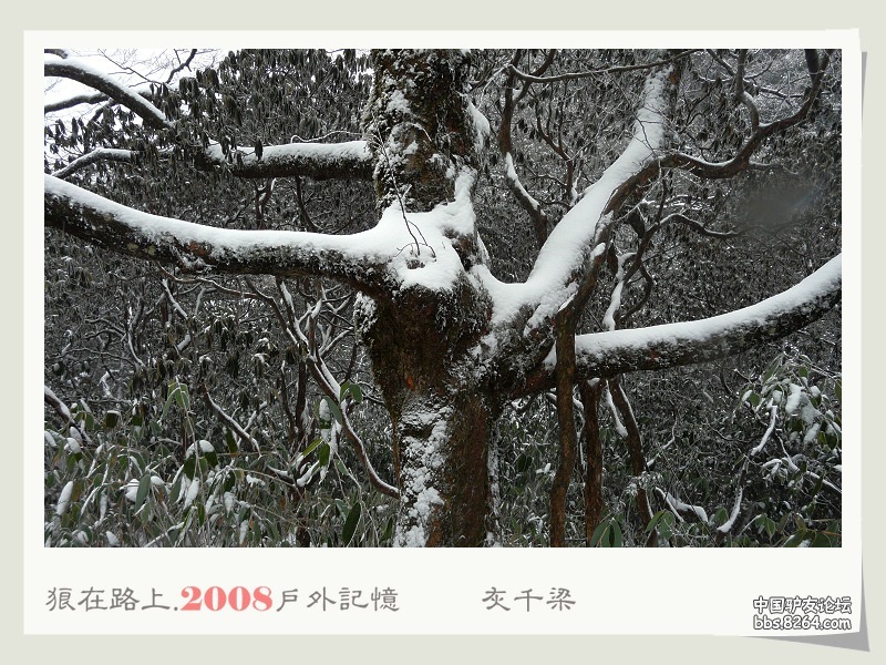 P1010540.jpg