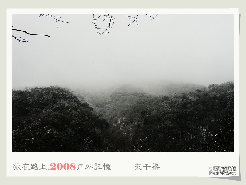 P1010699.jpg