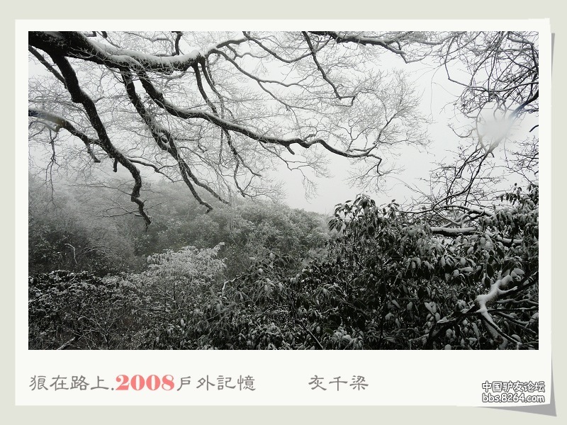 P1010571.jpg