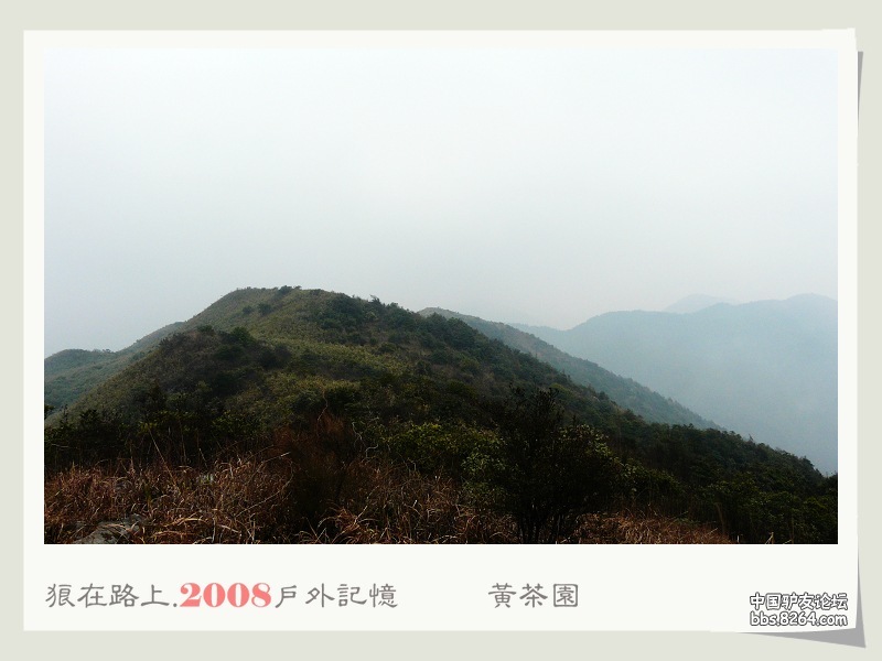 P1040841.jpg