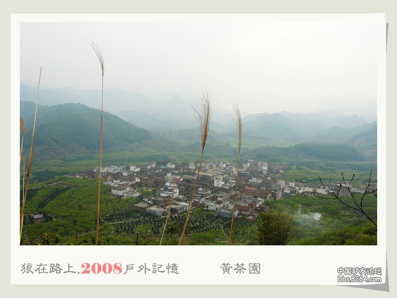 P1050004.jpg