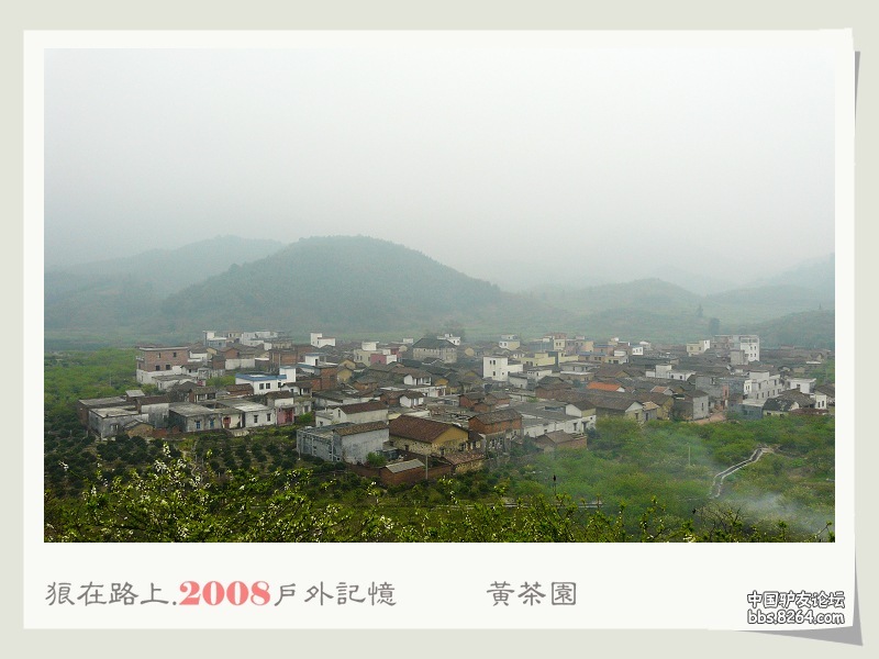 P1040697.jpg
