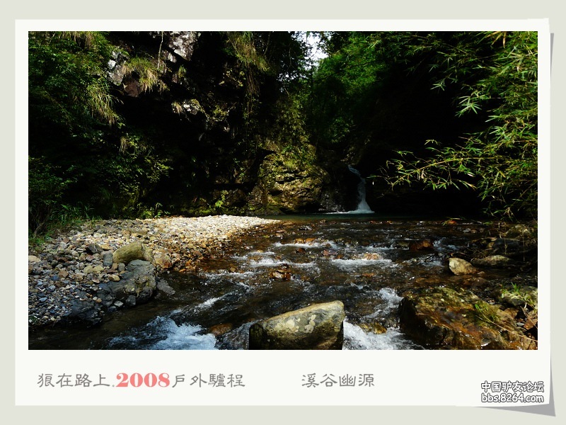 P1110468.jpg