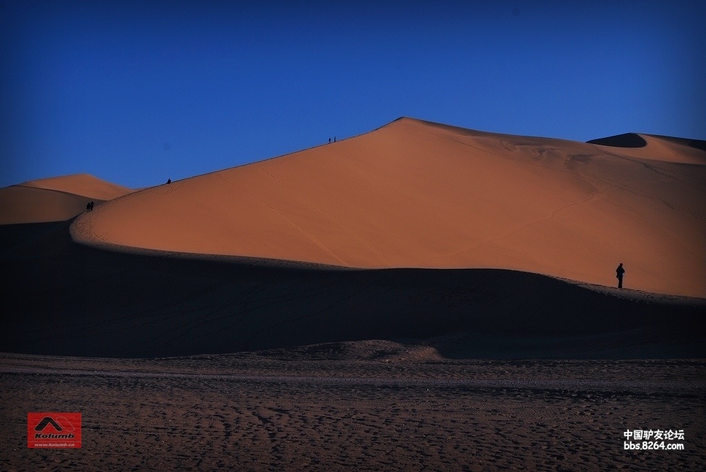 D01-02_4.jpg