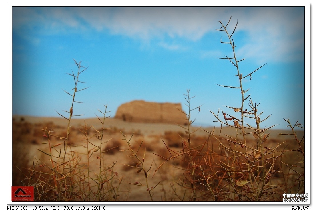 D01-08_3.jpg