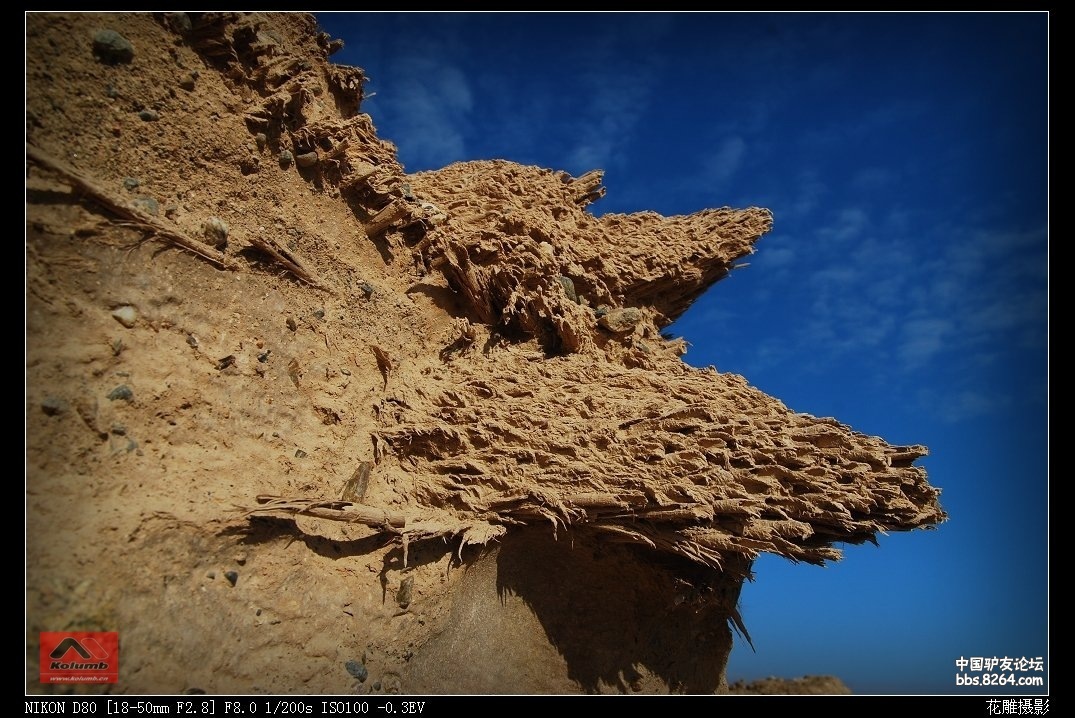 D01-17_2.jpg