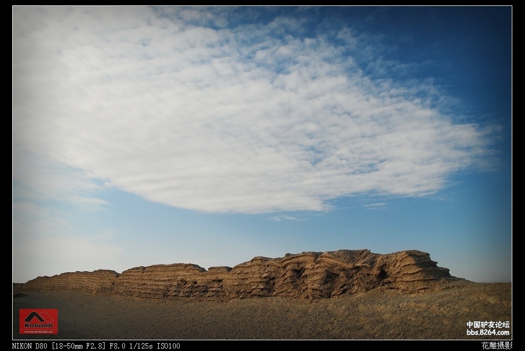 D01-14_4.jpg
