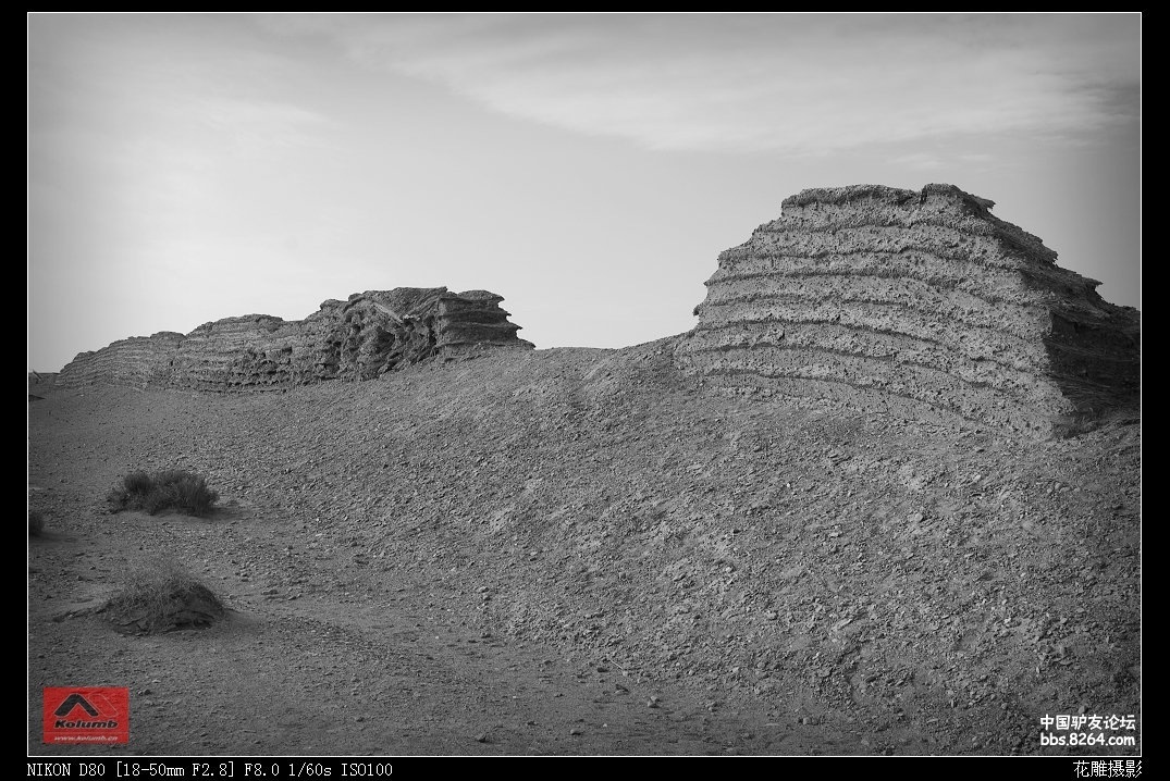D01-15_4.jpg