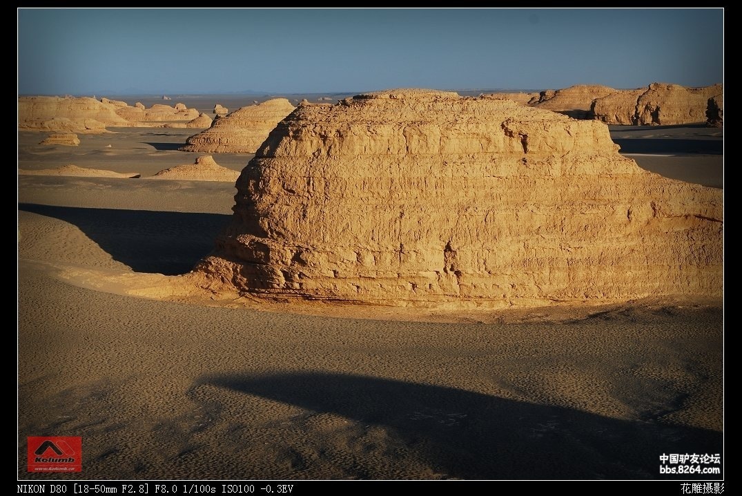 D01-18_2.jpg