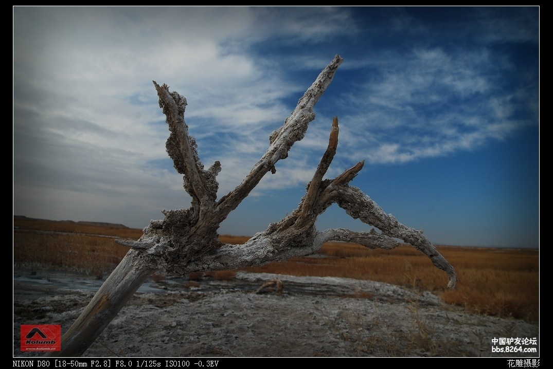 D01-13_3.jpg